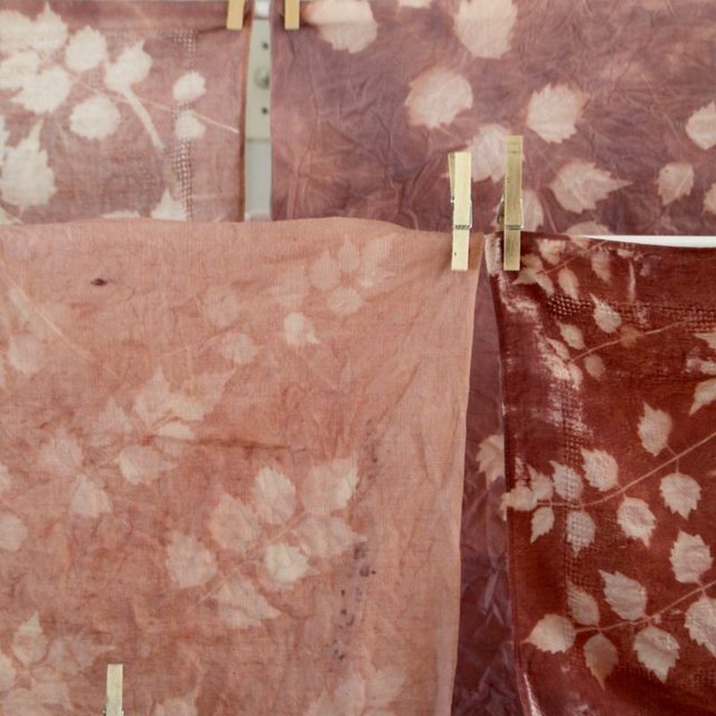 Fabric and embroidery samples